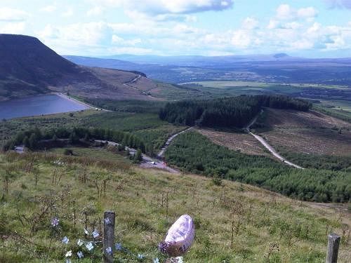 โรงแรม เดอะ เฮนดรูเวน Treorchy ภายนอก รูปภาพ